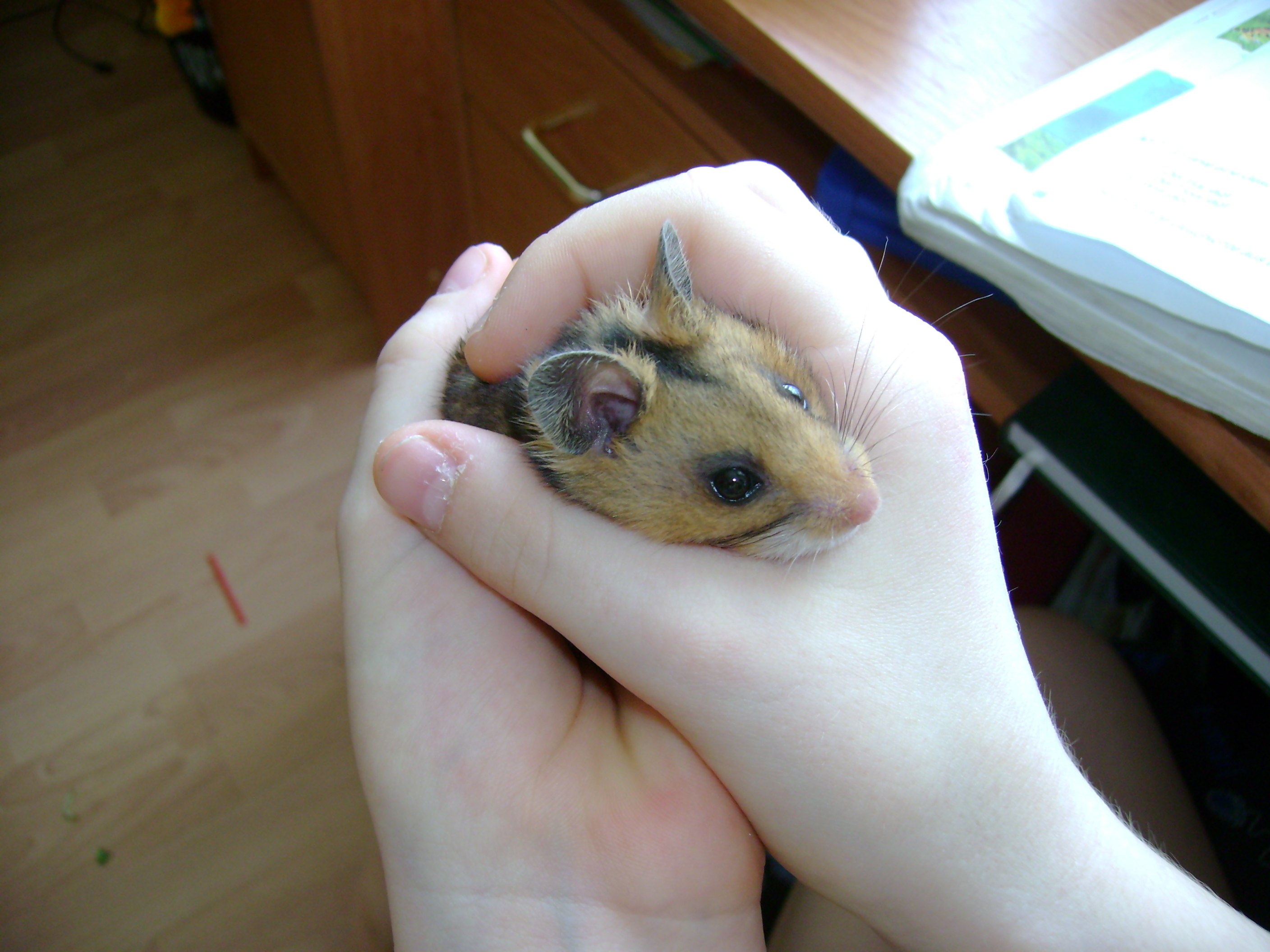Picture 001.jpg